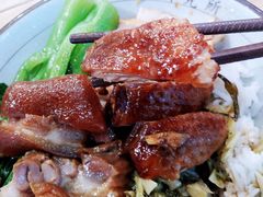 狮头鹅肉拼猪手饭-狮头牌卤味研究所·卤味饭(花城汇南区店)
