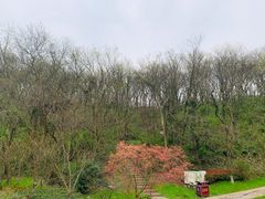 -南京市江宁方山
