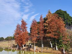 -河源客家文化公园