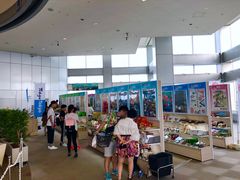 -东京都厅舍