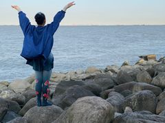 -吴淞炮台湾湿地森林公园烧烤区