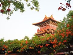 -清明上河园