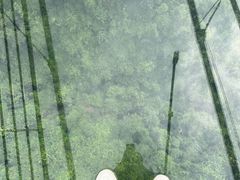 -南丹山森林王国
