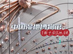 -中国湿地博物馆
