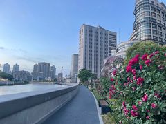 -上海小南国(不夜城店)