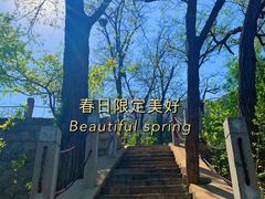 -北京凤凰岭