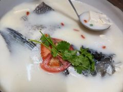 -全乐鱼馆·淳牌有机鱼直营店
