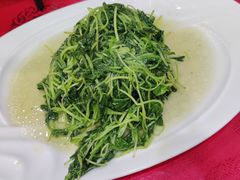 -明珠湖天鹅苑·农家菜馆