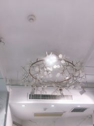 -潘多拉Hairsalon