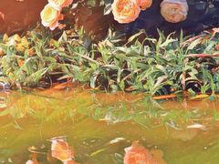 -人民公园(罗湖区)