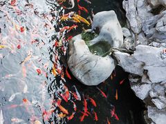 -西林禅寺