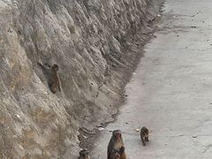 -石家庄市动物园