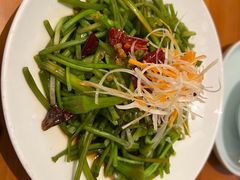 -菌自由丨野生菌火锅特色庭院餐厅(丽江古城店)