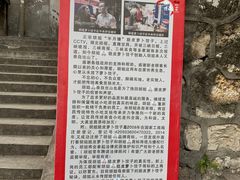 -半月镰胡姐脆皮萝卜饺子