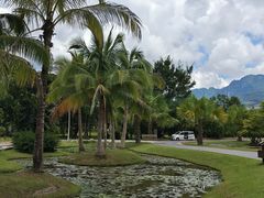 -中国科学院西双版纳热带植物园
