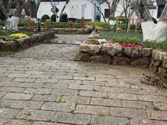 -东山雕花楼