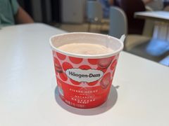 -哈根达斯(龙湖时代天街店)