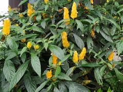 -优游吧斯邹族文化部落