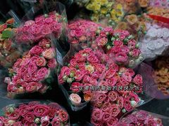 -循礼门鲜花花市(武汉循礼门店)