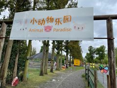 -前小桔亲子创意农场·草莓采摘·露营烧烤