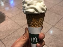 -巴塞罗那约瑟·塔拉德利亚斯-埃尔·普拉特机场