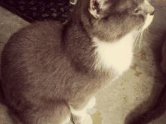 -MIKAKU(万达广场上海宝山店)