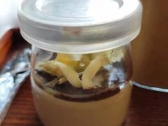 -柴犬高等学院·狗咖·柴犬售卖·宠物训练