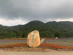 -广州市石门国家森林公园