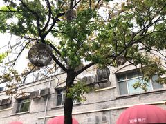 -106餐厅(山水文园店)