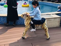 -蒙特利亲子乐园