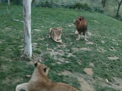 -北京野生动物园