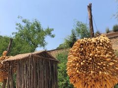 -梁家河村红色旅游区