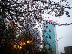 -西北湖绿化广场