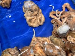 -三亚火车头万人海鲜广场