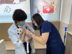 -喜多萌中农锦绣动物医院24H·猫科·牙科MRI·CT