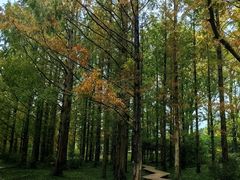 -国家植物园南园