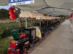 -嘉北郊野公园
