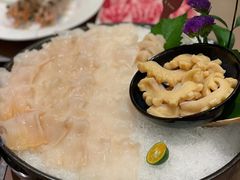 加拿大象拔蚌-協成海鮮火鍋(老店)