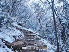 -武夷山风景名胜区-玉女峰