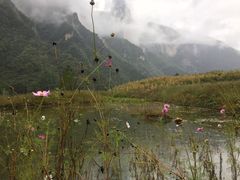 -鹿院坪生态旅游景区