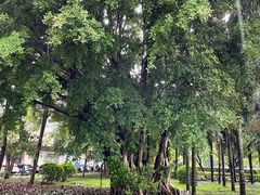 -城市便捷酒店(北海老街海景店)