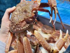 -丰卓会海鲜自助(中润大道店)