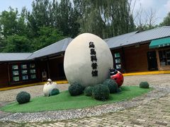 -沈阳鸟岛