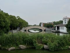 -溱湖国家湿地公园