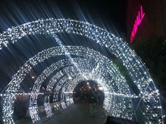 -永旺梦乐城国际商城(北清路店)