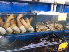 -蚝专家(北滘店)