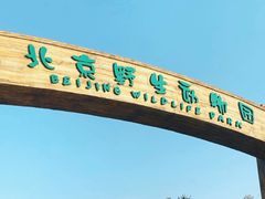 -北京野生动物园