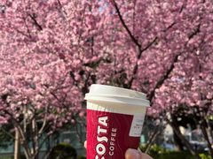 -COSTA COFFEE(上海虹口公园店)