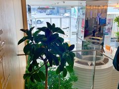 -Bracket Coffee(工体店)