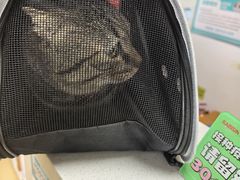 -瑞派天宁宠物医院·猫科·异宠中心